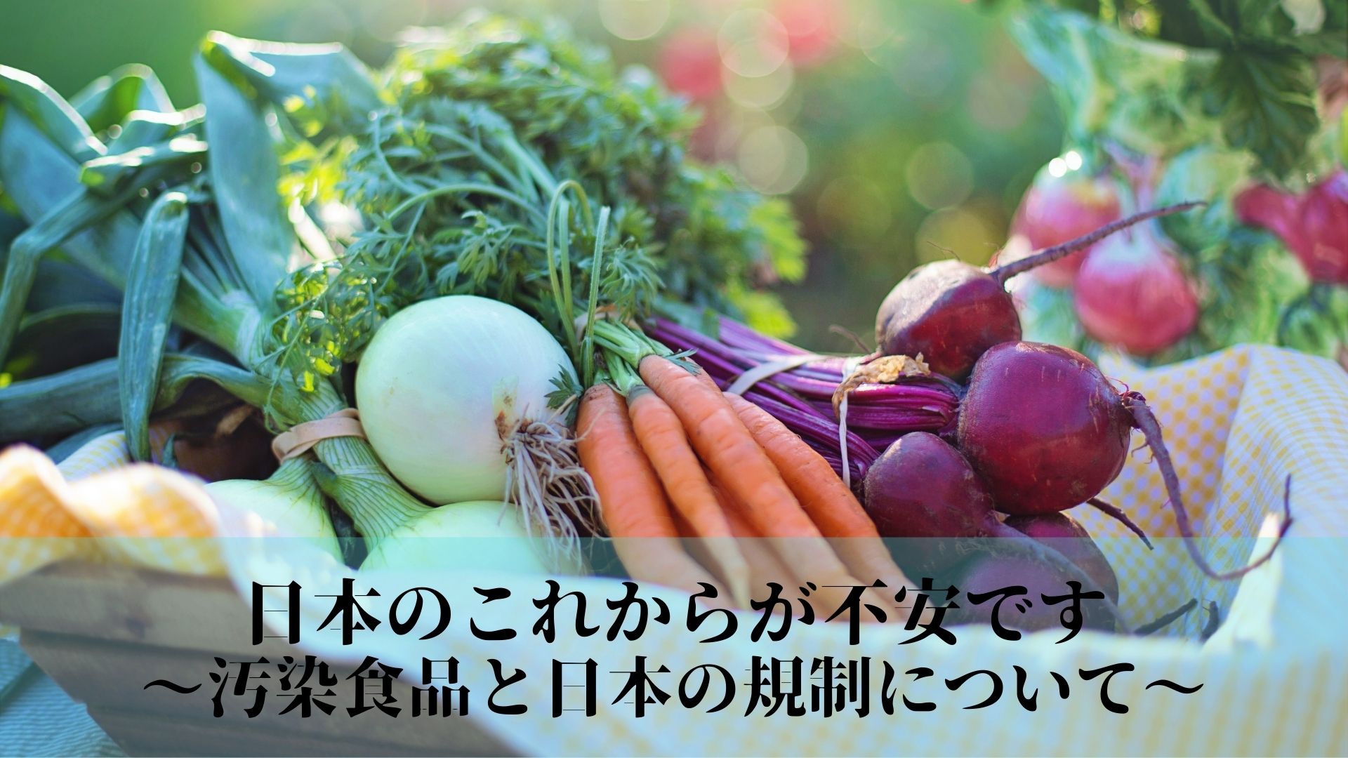 日本のこれからが不安です〜汚染食品と日本の規制について〜